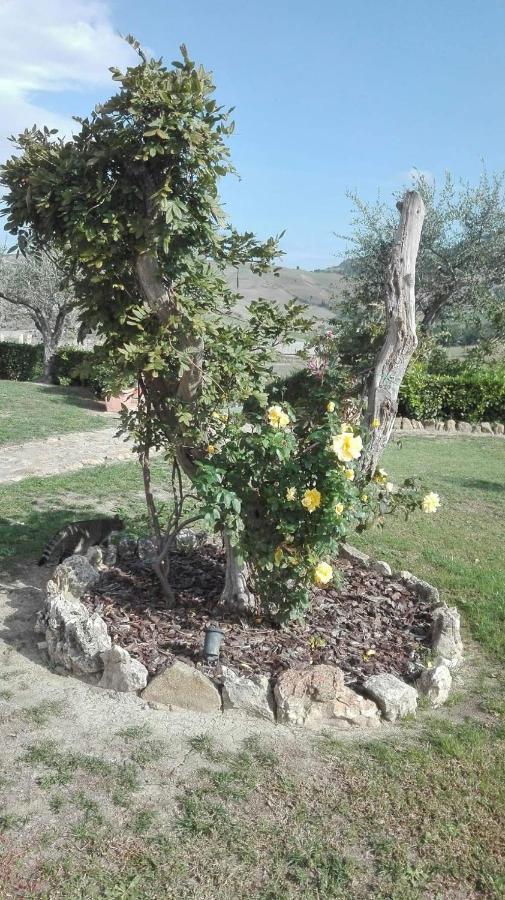 Agriturismo Casa Al Povero Волтера Екстериор снимка
